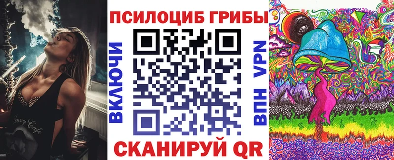 где можно купить   Ачхой-Мартан  kraken рабочий сайт  Псилоцибиновые грибы мухоморы 